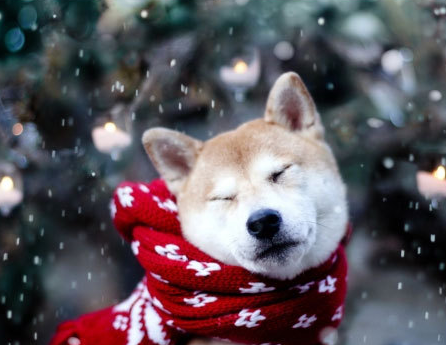 暖氣片什么牌子好